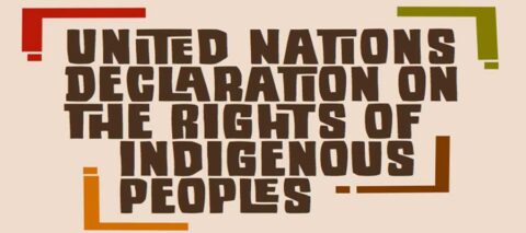 UN Declaration On The Rights Of Indigenous Peoples Journey Of Healing   UNDRIP9x4 480x213 